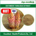 chinese herbal cistanche tubulosa extract